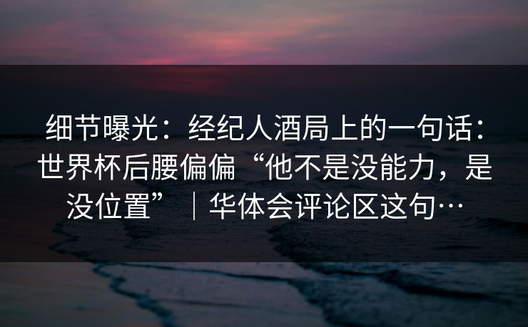 细节曝光：经纪人酒局上的一句话：世界杯后腰偏偏“他不是没能力，是没位置”｜华体会评论区这句…
