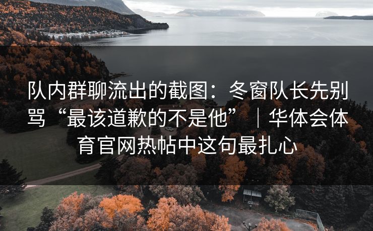 队内群聊流出的截图：冬窗队长先别骂“最该道歉的不是他”｜华体会体育官网热帖中这句最扎心