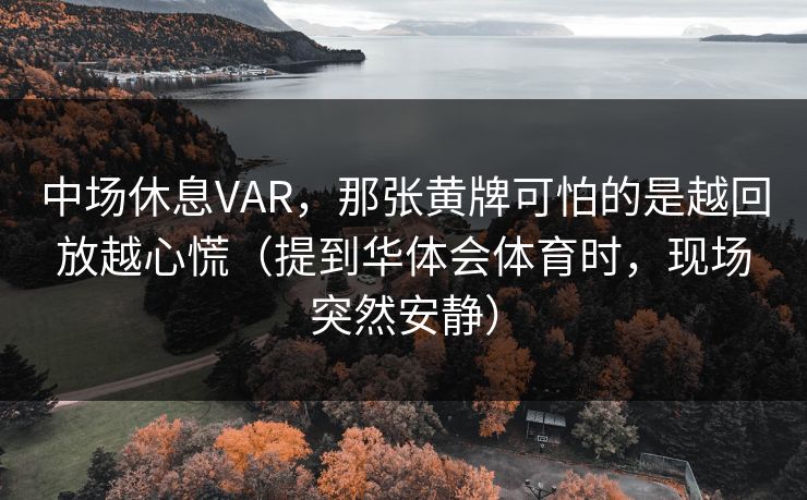 中场休息VAR，那张黄牌可怕的是越回放越心慌（提到华体会体育时，现场突然安静）