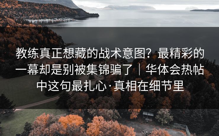 教练真正想藏的战术意图？最精彩的一幕却是别被集锦骗了｜华体会热帖中这句最扎心·真相在细节里